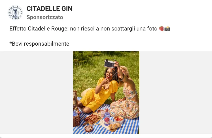 Inserzione di Citadelle Gin: due amiche fanno un selfie a un picnic con Citadelle Rouge