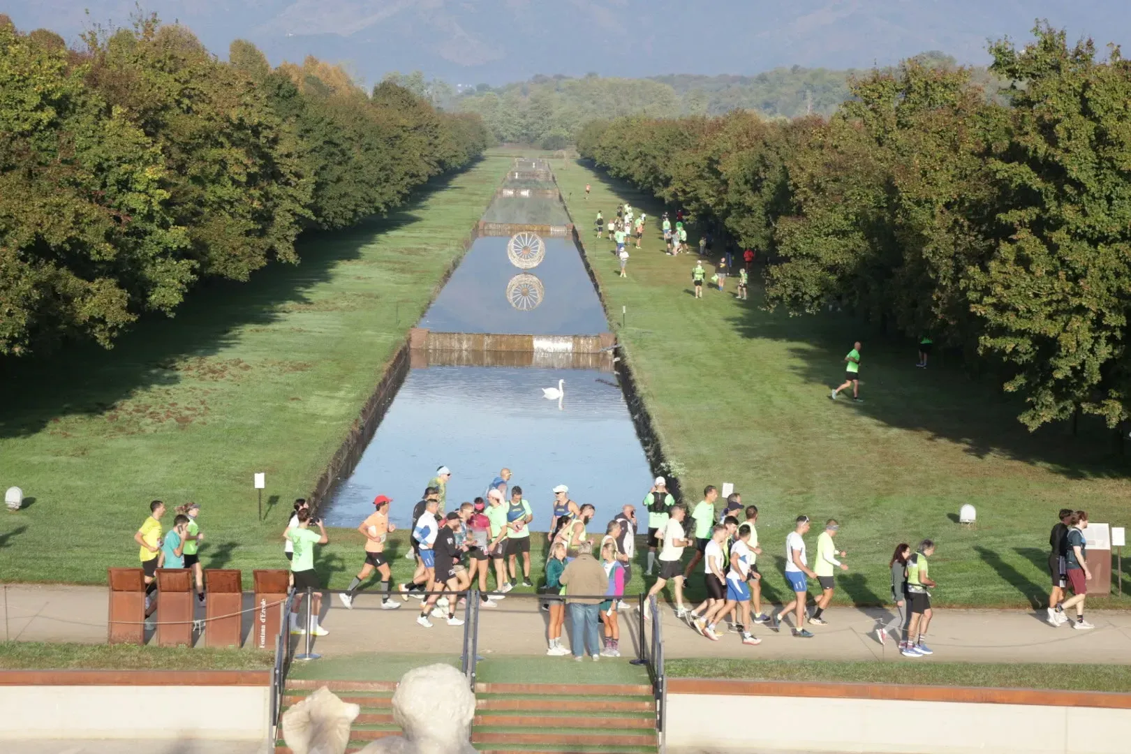 Runner del Weekend Reale che passano davanti al canale della Fontana d'Ercole, con un cigno nell'acqua e il viale alberato che porta verso le montagne